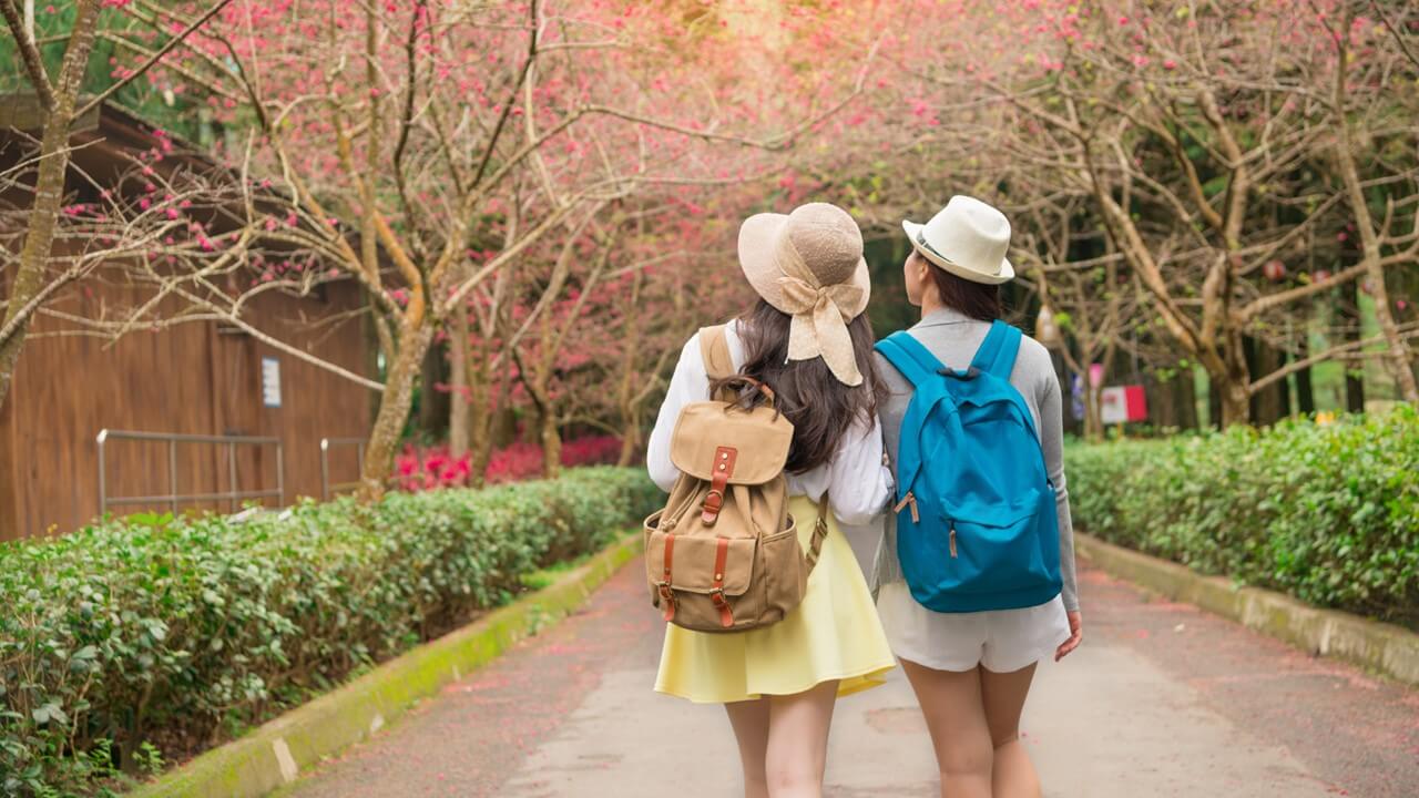 2022国旅住宿补助怎申请？自由行每晚现省1300元，饭店名单终于出炉啦