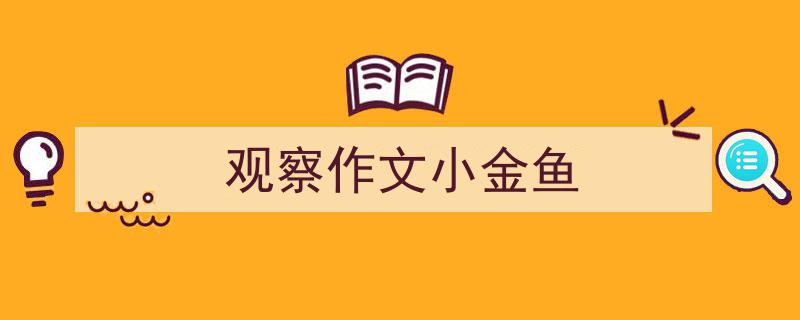 精心挑选《观察作文小金鱼》相关文章文案。（精选5篇）"/