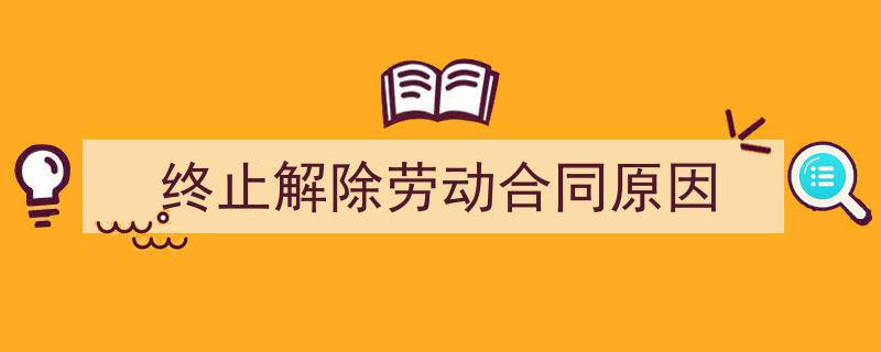 写一篇《终止解除劳动合同原因》小技巧（精选5篇）"/