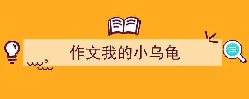 写一篇《作文我的小乌龟》小技巧（精选5篇）"/