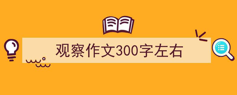 观察作文300字左右如何写我教你。（精选5篇）"/