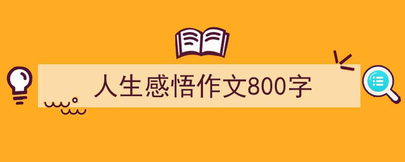 如何写《人生感悟作文800字》教你5招搞定！（精选5篇）"/