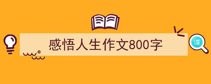 手把手教你写《感悟人生作文800字》,（精选5篇）"/
