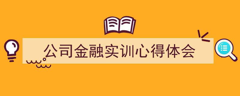 手把手教你写《公司金融实训心得体会》,(精选5篇)"/