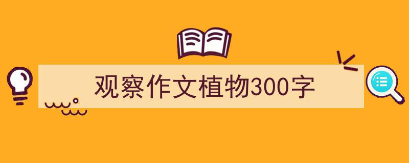 写一篇《观察作文植物300字》小技巧（精选5篇）"/