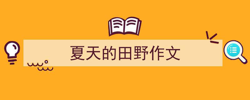 怎么写《夏天的田野作文》才能拿满分？（精选5篇）"/