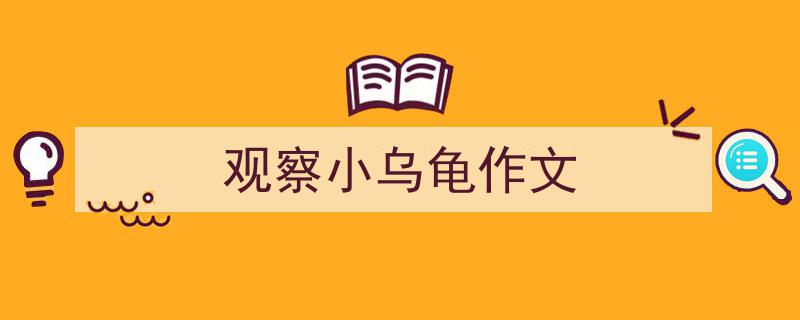 手把手教你写《观察小乌龟作文》,（精选5篇）"/