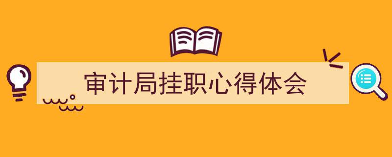 审计局挂职心得体会如何写我教你。(精选5篇)"/