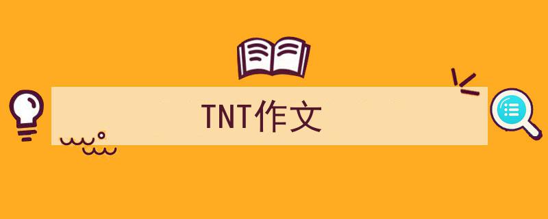 怎么写《TNT作文》才能拿满分？（精选5篇）"/