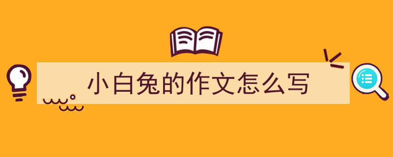 一篇文章轻松搞定《小白兔的作文怎么写》的写作。（精选5篇）"/