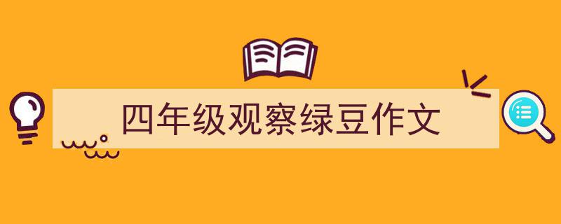 写一篇《四年级观察绿豆作文》小技巧(精选5篇)"/
