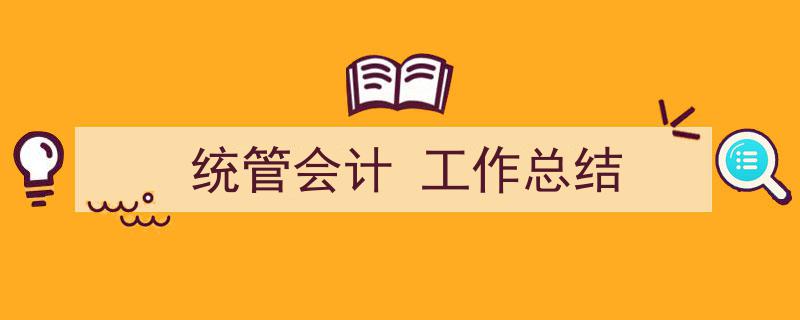 统管会计