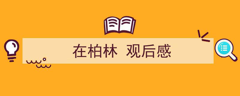 怎么写《在柏林