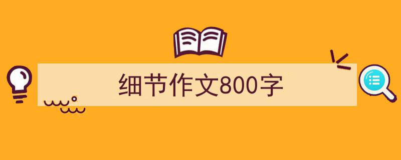 怎么写《细节作文800字》才能拿满分？（精选5篇）"/