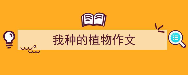 推荐《我种的植物作文》相关写作范文范例（精选5篇）"/