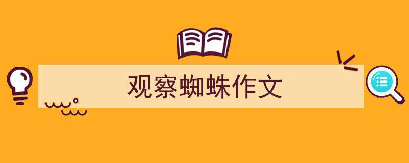 怎么写《观察蜘蛛作文》才能拿满分？（精选5篇）"/